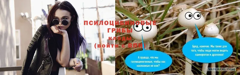 Псилоцибиновые грибы Psilocybine cubensis  omg ONION  Новороссийск 